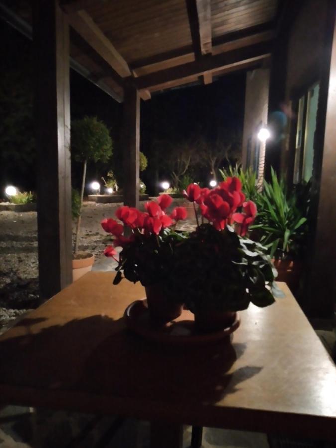 Hotel B&B Resort Fonte La Castellana Sarnano Eksteriør billede